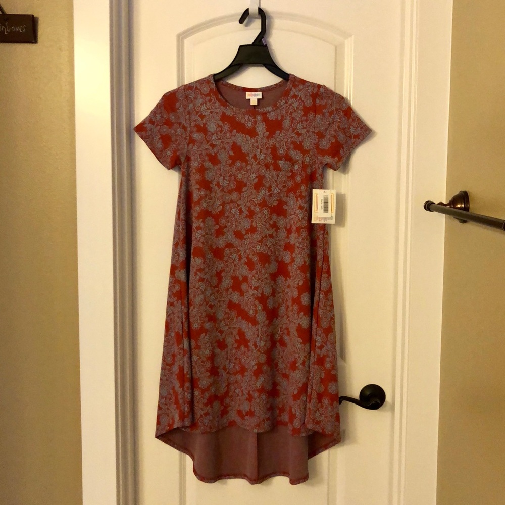 NWT Comfy Floral Swing Dress